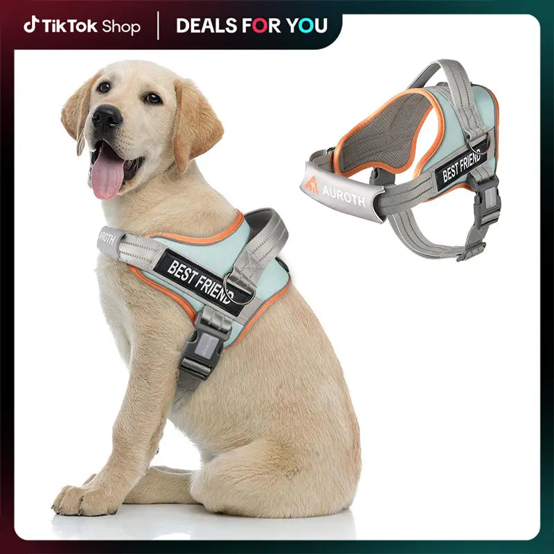 Auroth No Pull Dog Harness - Adjustable Soft Padded Safety Vest with Reflective Straps for Small, Medium, and Large Dogs - Ideal for Walking and Training