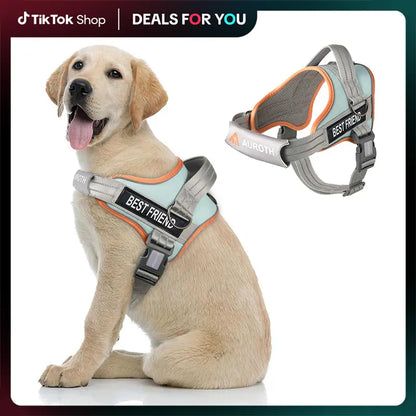 Auroth No Pull Dog Harness - Adjustable Soft Padded Safety Vest with Reflective Straps for Small, Medium, and Large Dogs - Ideal for Walking and Training