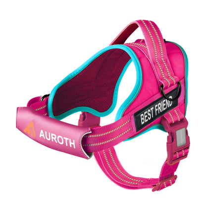 Auroth No Pull Dog Harness - Adjustable Soft Padded Safety Vest with Reflective Straps for Small, Medium, and Large Dogs - Ideal for Walking and Training